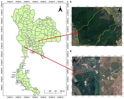 Comparison and environmental controls of soil respiration in primary and secondary dry dipterocarp forests in Thailand